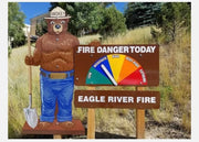 2D Smokey Bear, One Sided 3 Piece Display Kit