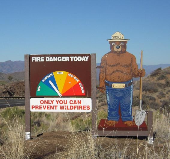 Smokey Zone Two Sided Fire Danger Display With Smokey Bear