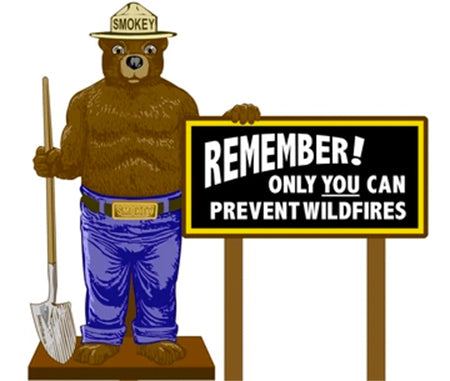 2D Smokey Bear "Remember" Display